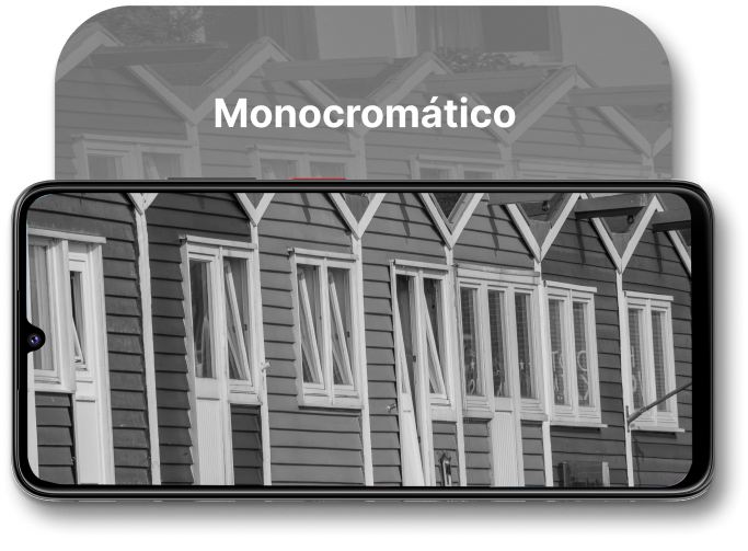 Monocromatico V80MAX